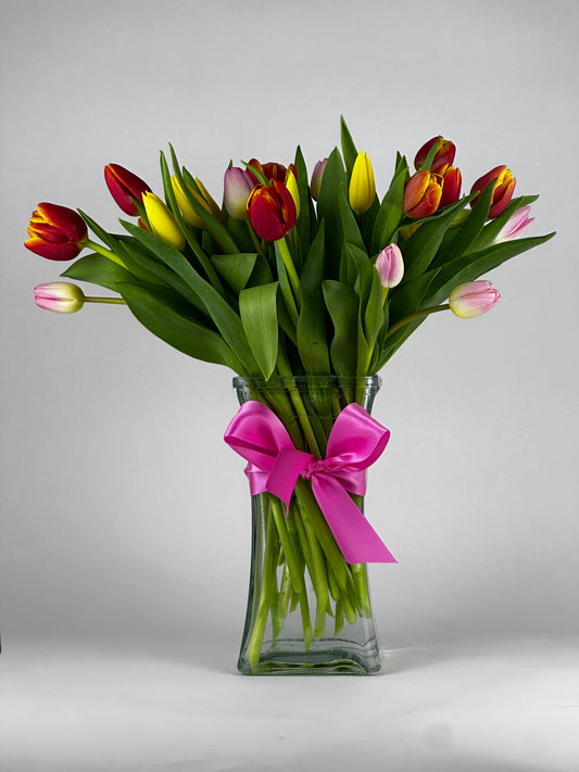 Tulip Bliss